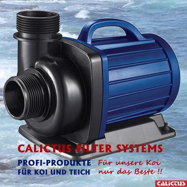 Die energiesparenden Filterpumpen der Calictus ECO Serie können im Teich oder trocken aufgestellt betrieben werden.